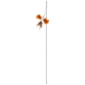 Magic Wand Flutterby Fun Cat Toy